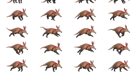 Aardvark race-theme artwork