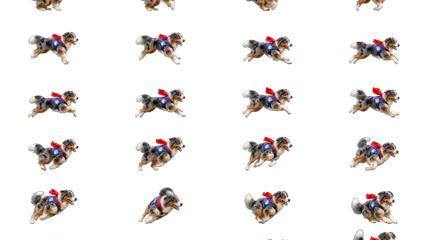 Australian Shepherd race-theme artwork