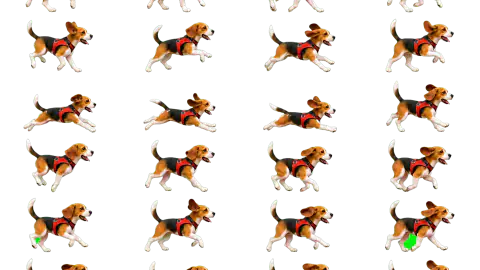 Beagle race-theme artwork
