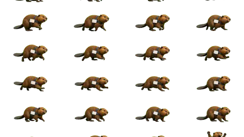 Beaver race-theme artwork