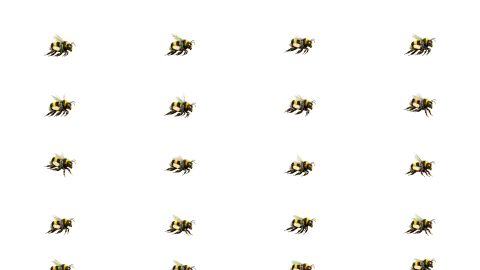 Bee race-theme artwork