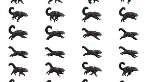 Binturong race-theme artwork