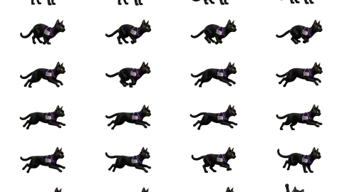 Black Cat race-theme artwork