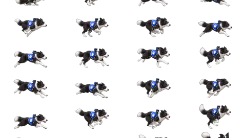 Border Collie race-theme artwork
