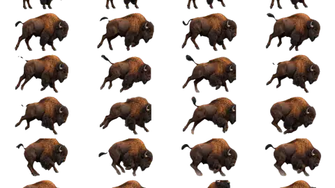 Buffalo race-theme artwork
