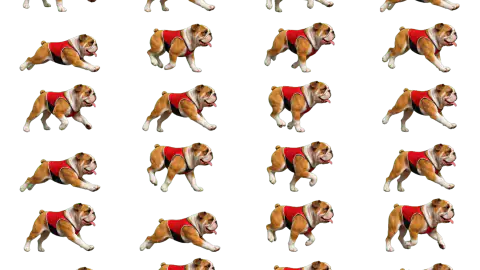 Bulldog race-theme artwork