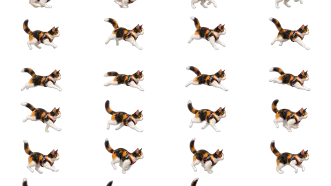 Calico Cat race-theme artwork