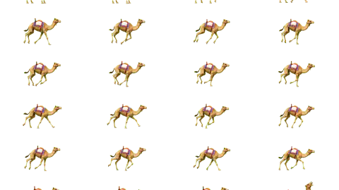 Camel race-theme artwork