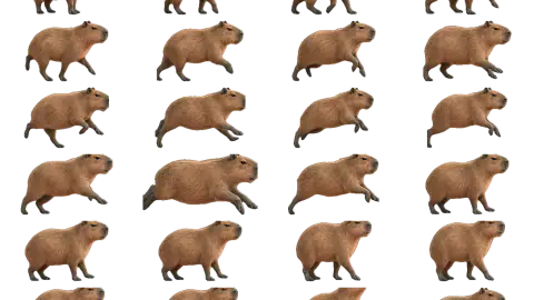 Capybara race-theme artwork