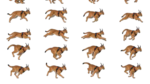Caracal race-theme artwork