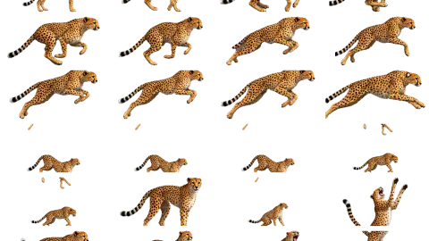 Cheetah race-theme artwork