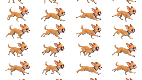 Chihuahua race-theme artwork