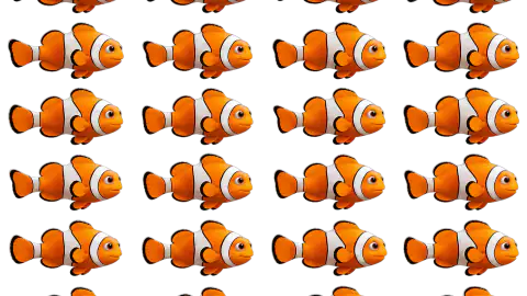 Clownfish race-theme artwork