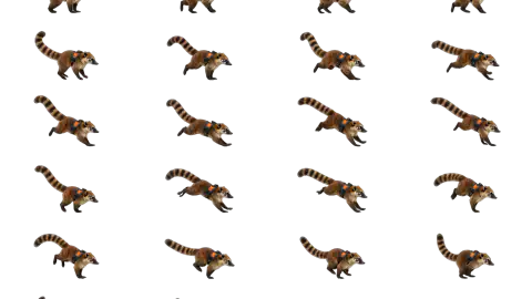 Coati race-theme artwork