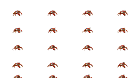 Crab race-theme artwork
