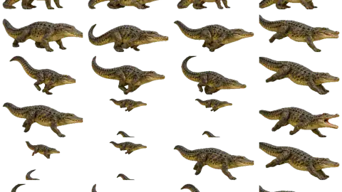 Crocodile race-theme artwork