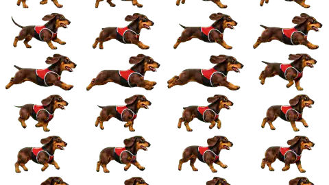 Dachshund race-theme artwork