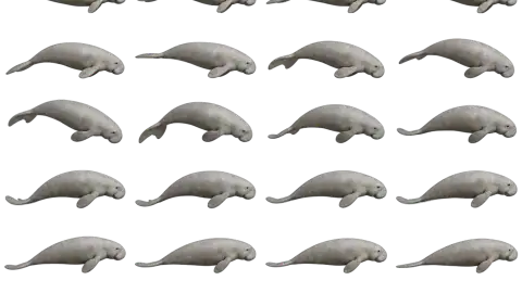 Dugong race-theme artwork