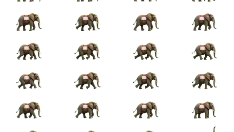 Elephant race-theme artwork