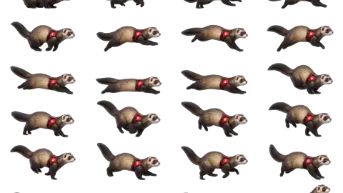 Ferret race-theme artwork