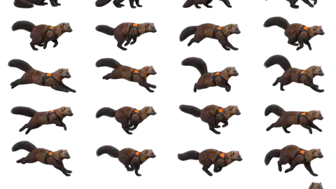 Fisher race-theme artwork