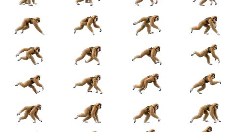 Gibbon race-theme artwork