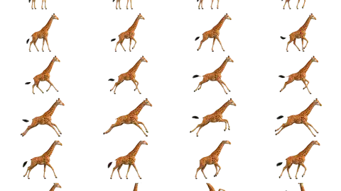Giraffe race-theme artwork