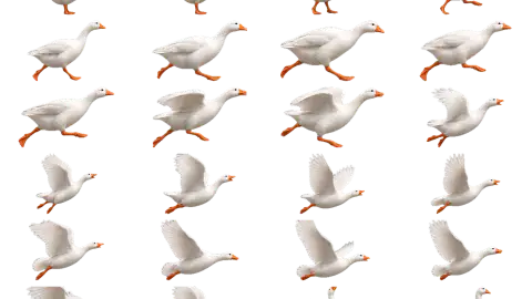 Goose race-theme artwork