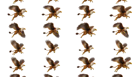 Griffin race-theme artwork