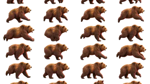 Grizzly Bear race-theme artwork