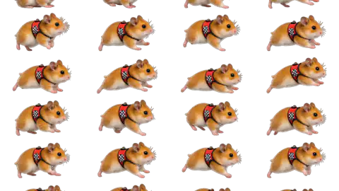 Hamster race-theme artwork