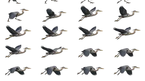 Heron race-theme artwork