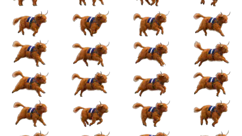 Highland Cow race-theme artwork