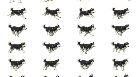 Husky race-theme artwork
