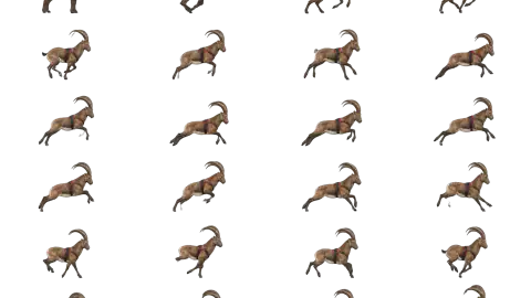 Ibex race-theme artwork