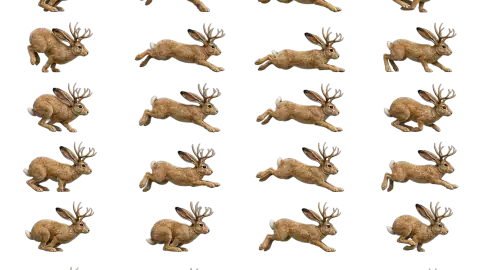 Jackalope race-theme artwork