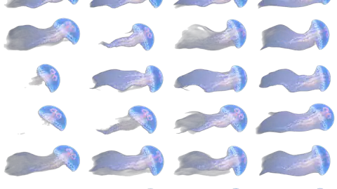 Jellyfish race-theme artwork