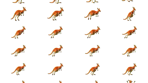 Kangaroo race-theme artwork