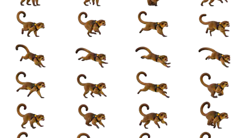 Kinkajou race-theme artwork