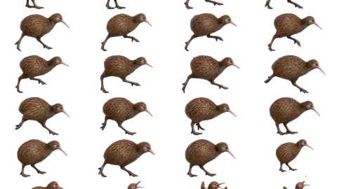 Kiwi race-theme artwork