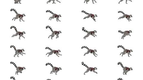 Lemur race-theme artwork
