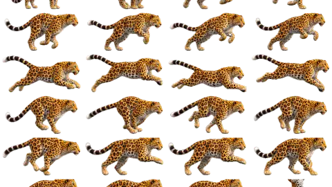 Leopard race-theme artwork