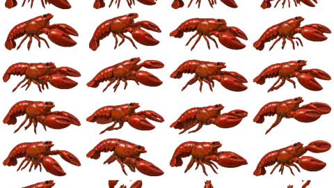 Lobster race-theme artwork