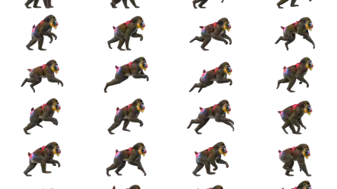 Mandrill race-theme artwork