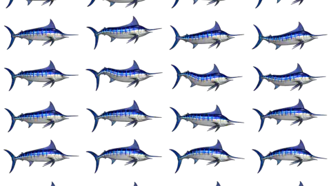 Marlin race-theme artwork