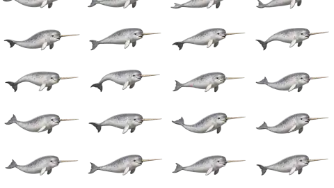 Narwhal race-theme artwork