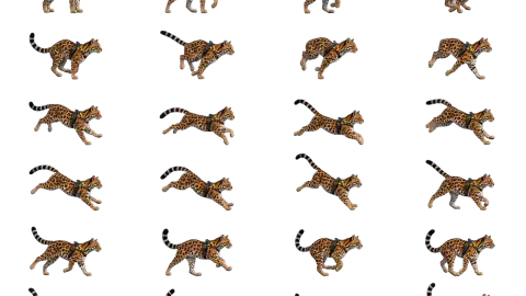 Ocelot race-theme artwork