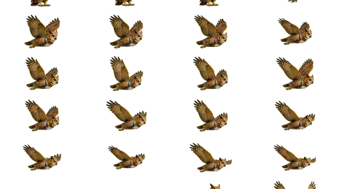 Owl race-theme artwork