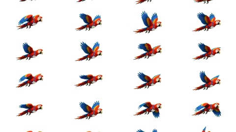 Parrot race-theme artwork