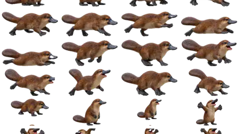 Platypus race-theme artwork